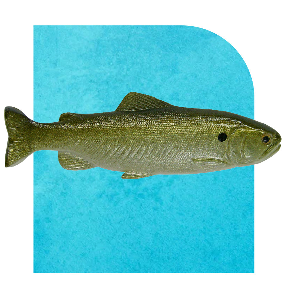HydraTail 5" Green Shad